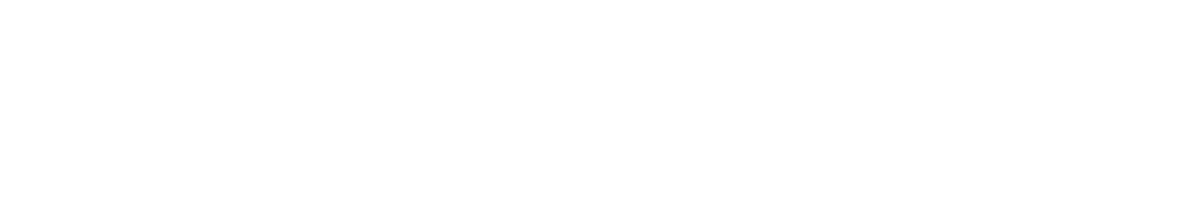 La Fibre Optique